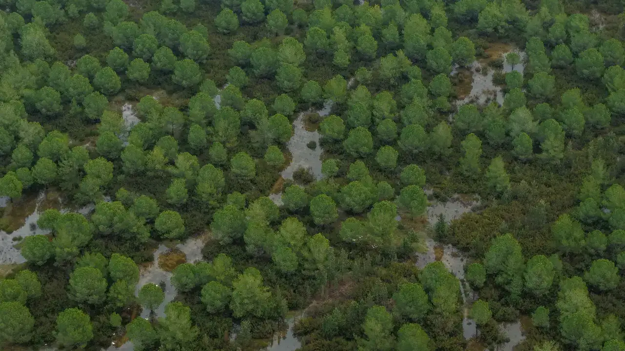 Aksu’da Hortum Felaketinin İzleri Siliniyor 10